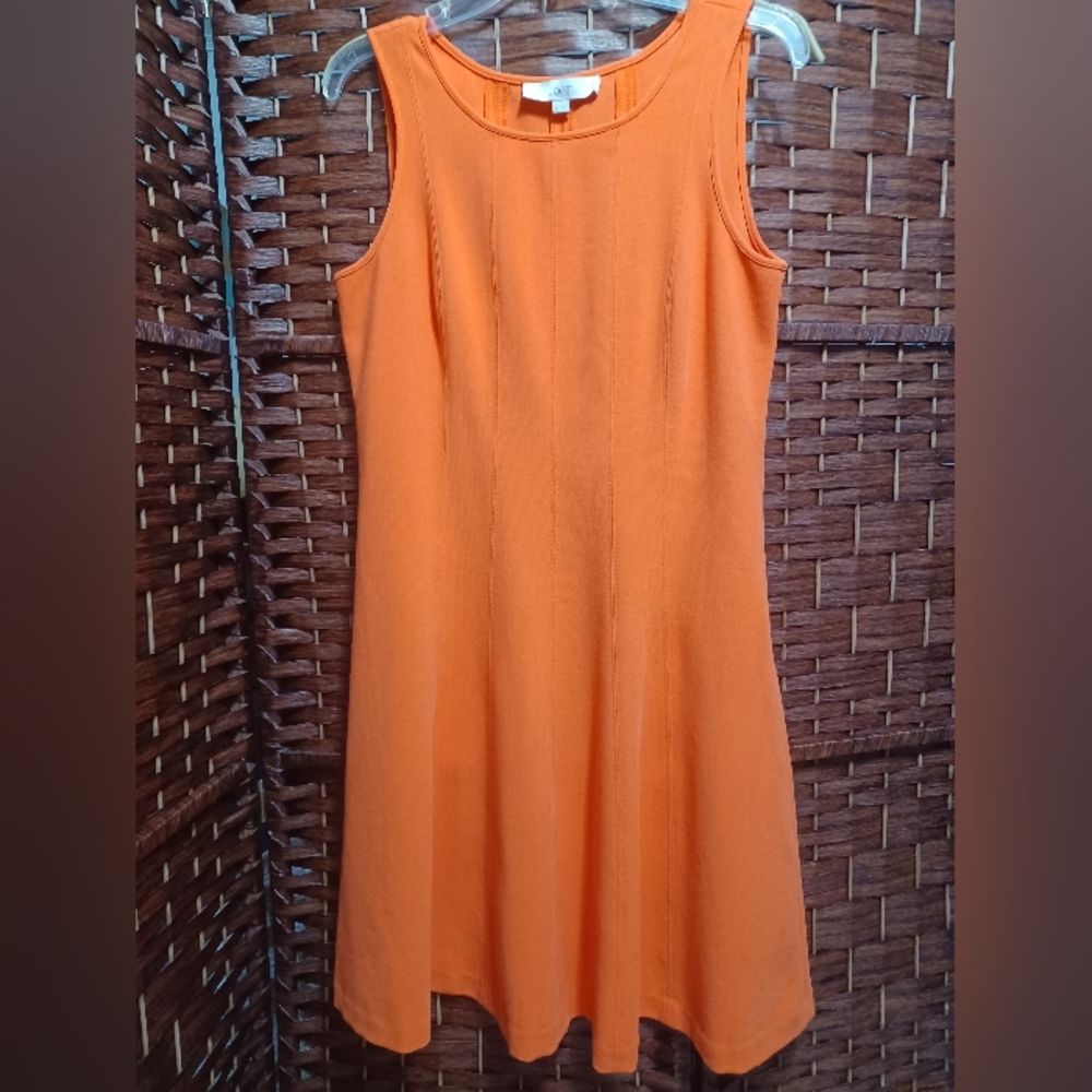 Ann Taylor Dress